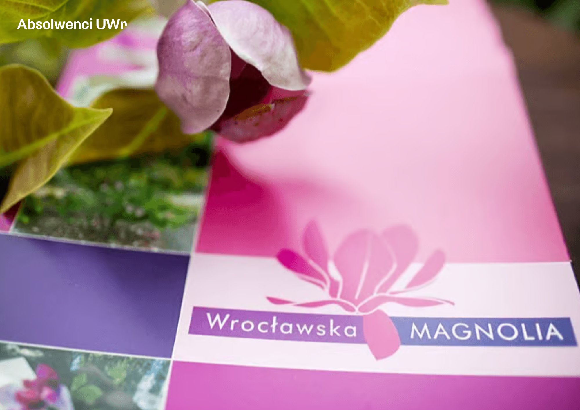 Plakat poziomy TARGI PRACY (3)